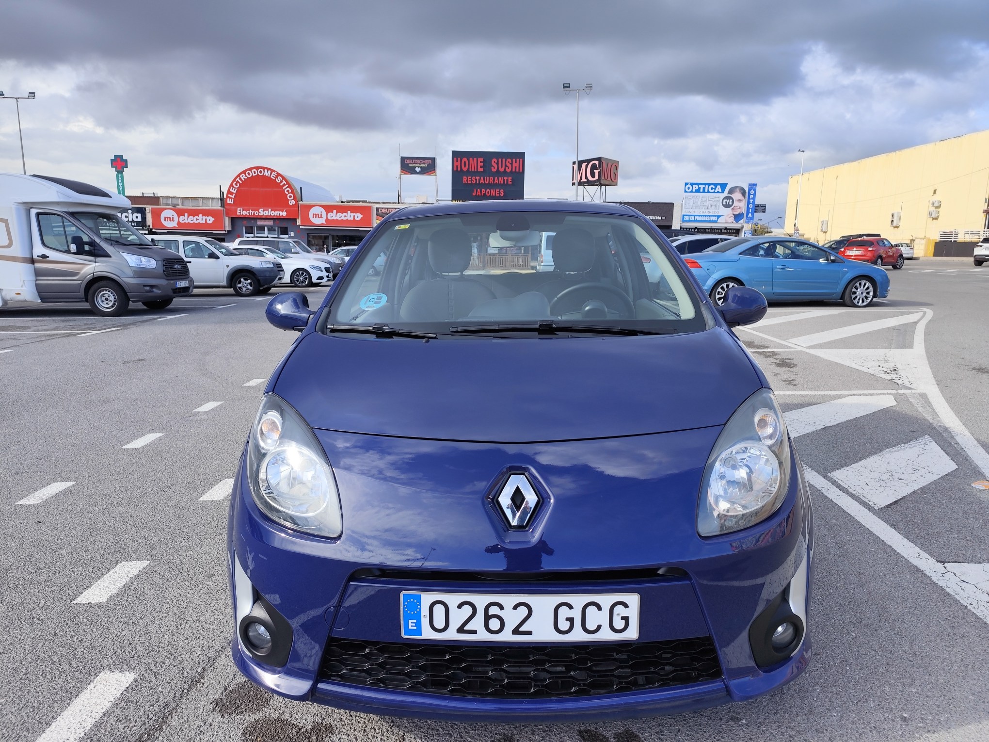 RENAULT TWINGO 1.2 GASOLINA 75 CV SOLO 42.000 KM 2008 MANUAL