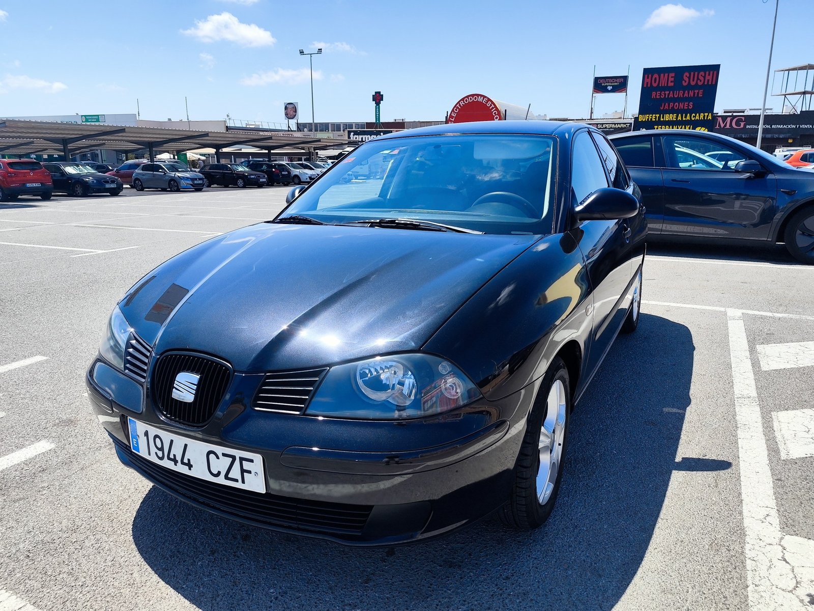 SEAT IBIZA 1.4 GASOLINA 75 CV 102.000 KM 2004 MANUAL